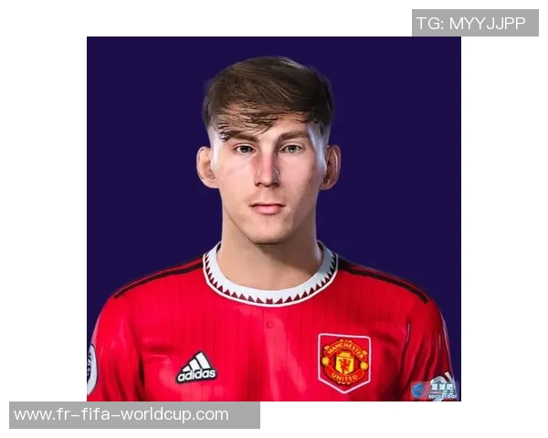 足球经理2014头像设计与使用技巧分享助你提升游戏体验